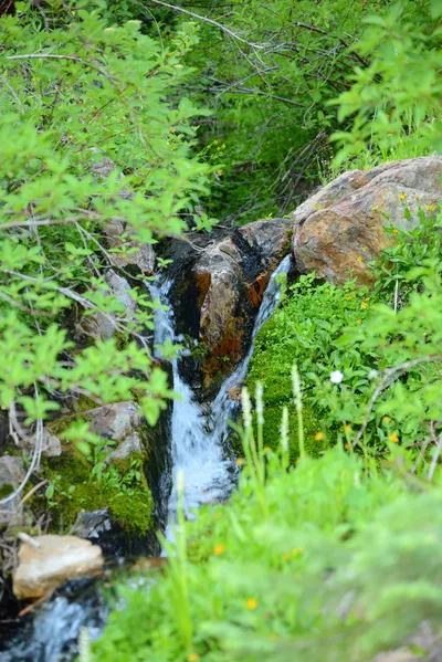 DSC_0081 (Large).JPG